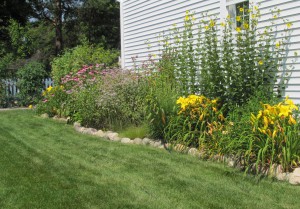 after sustainable landscaping backyard after sustainable landscaping