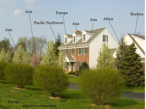 Sustainable Landscaping Foreign Landscaping Example