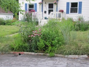 Rain Garden in Lawn Extension