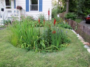 Sustainable Rain Garden Installation in Wayne County, MI