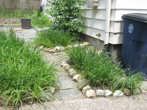 Native Perennial Bed