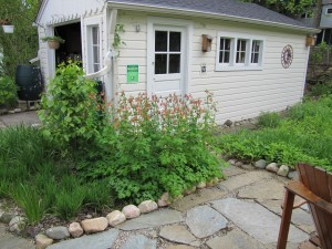 Native Perennial Bed