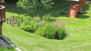 Residential Rain Garden in Wayne County, MI