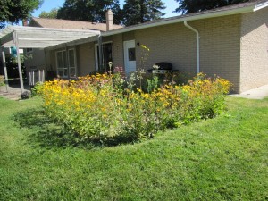 Front yard rain garden