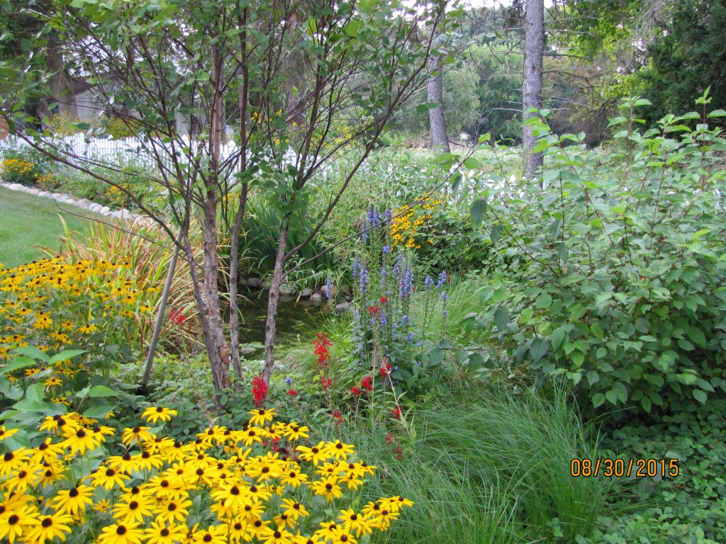 Sustainable Landscaping Design in Oakland County MI