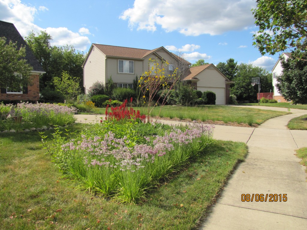 Rain Garden in the Front Yard of a House