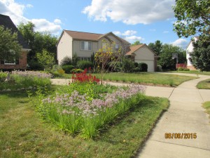 Rain garden by Creating Sustainable Landscapes