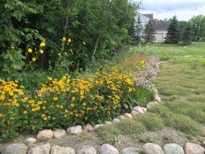 Native perennial landscape edge design