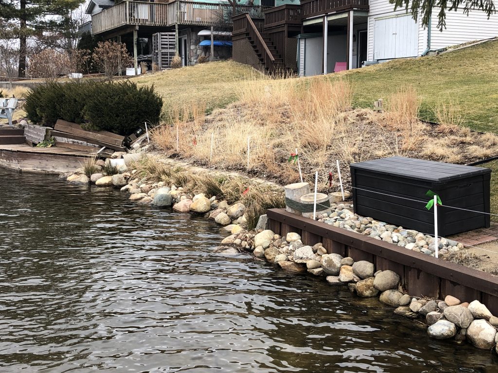 Natural shoreline landscaping