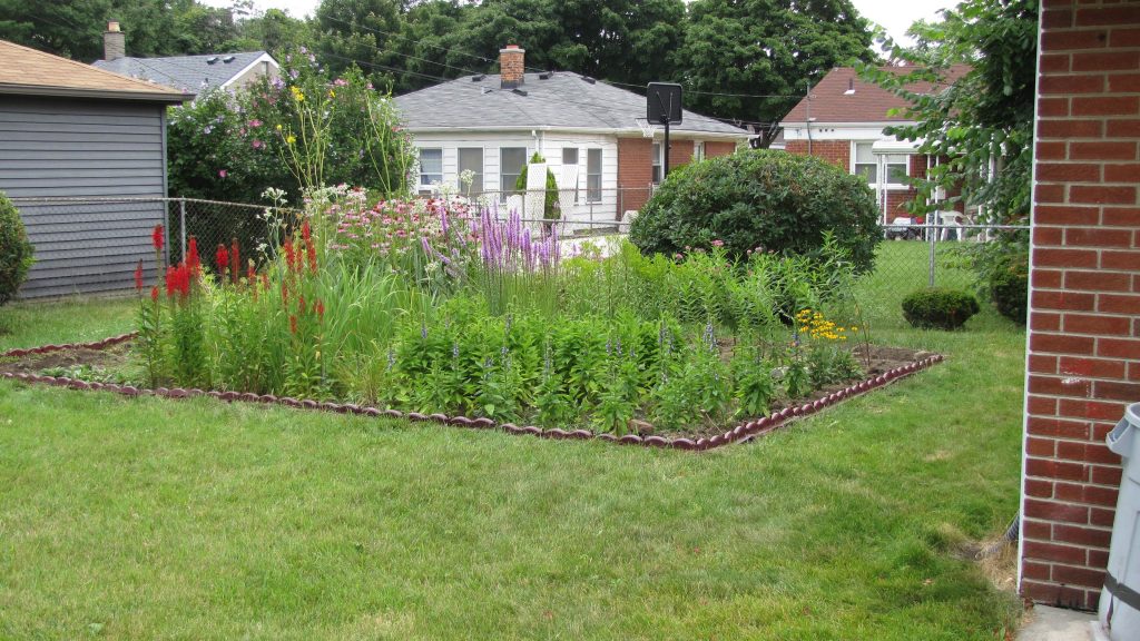 Side yard rain garden