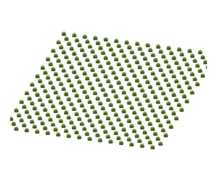 Matrix layer of a grass